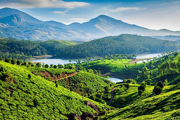 Munnar Alleppey Tour